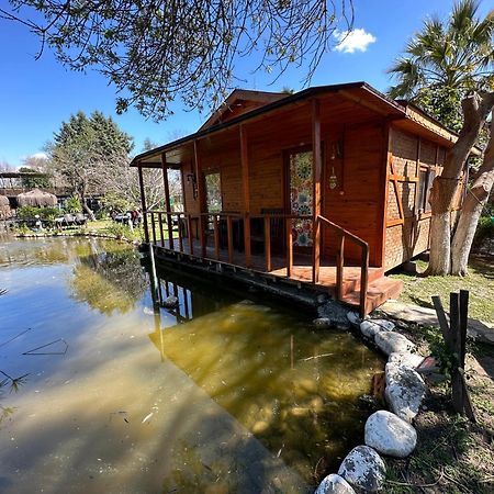 Bed and Breakfast Otantik Tas Ev Dalaman Zewnętrze zdjęcie