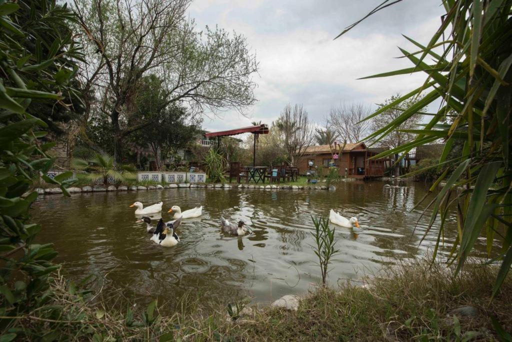 Bed and Breakfast Otantik Tas Ev Dalaman Zewnętrze zdjęcie