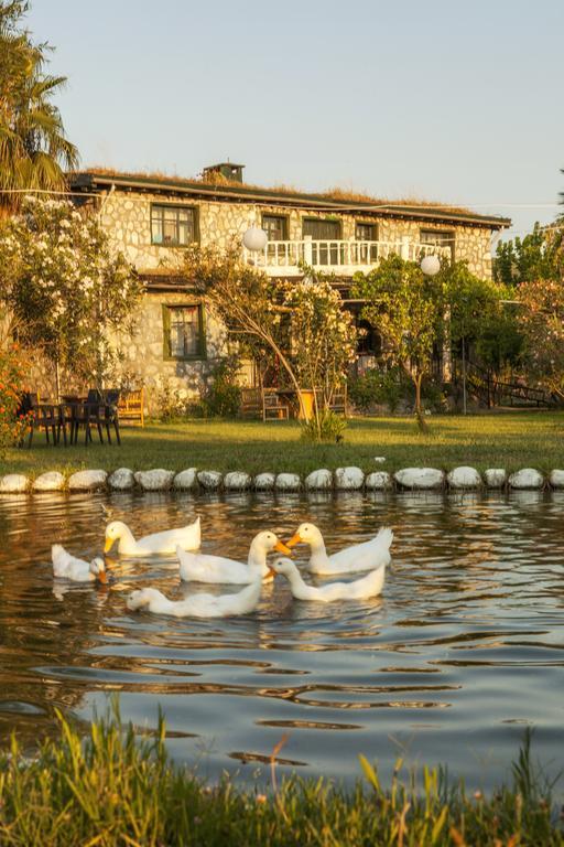 Bed and Breakfast Otantik Tas Ev Dalaman Zewnętrze zdjęcie