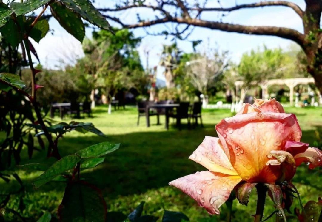 Bed and Breakfast Otantik Tas Ev Dalaman Zewnętrze zdjęcie