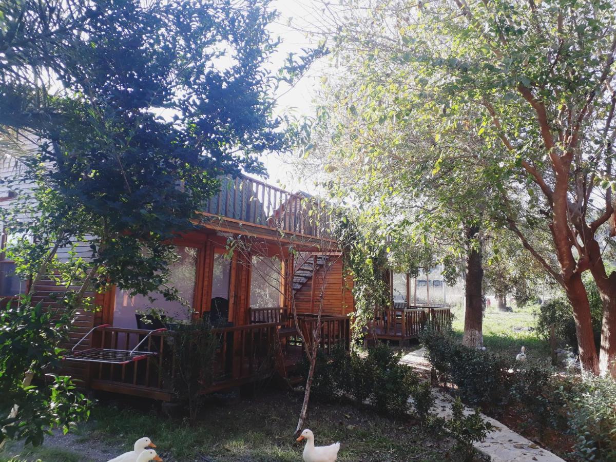 Bed and Breakfast Otantik Tas Ev Dalaman Zewnętrze zdjęcie